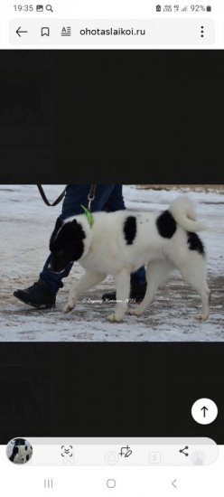 Screenshot_20251010_193525_Yandex Start.jpg