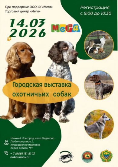 городская выставка 2026.jpg