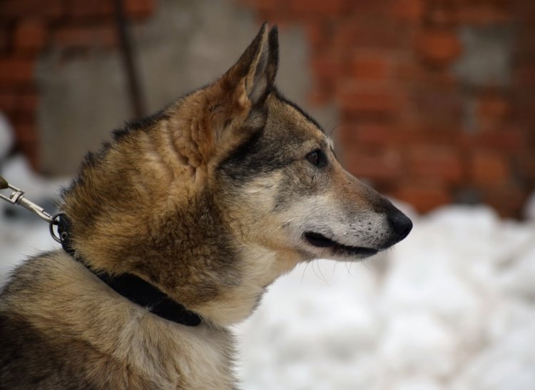 DSC_0149.JPG