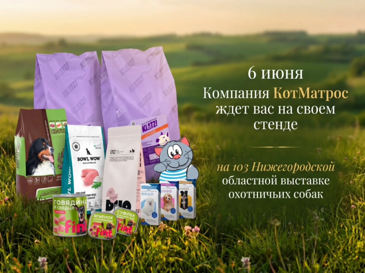 кот_матрос.png