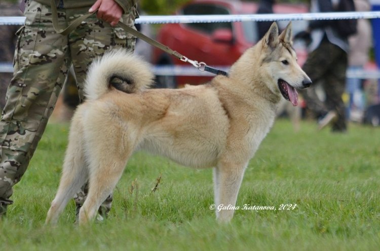 5DSC_0339.JPG